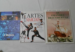 imagem_3