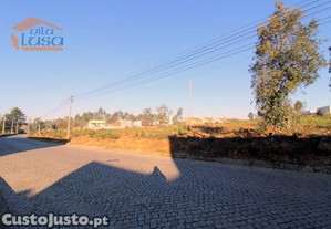 imagem_11