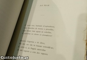imagem_6