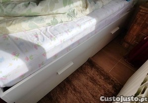 imagem_7