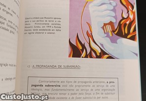 imagem_5