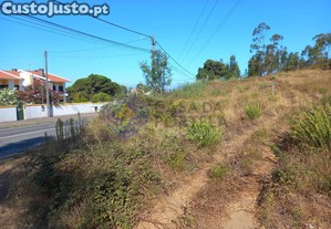 imagem_2