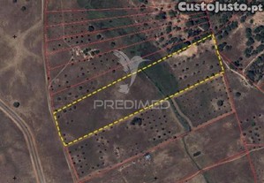 Terreno com mais de 5 hectares para em ferreira do alentejo
