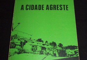 Livro Cidade Agreste Mário Furtado 1ª ed. autograf