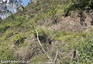imagem_12