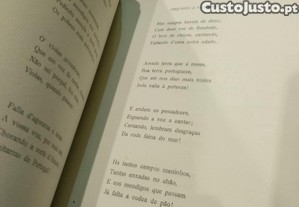 imagem_8