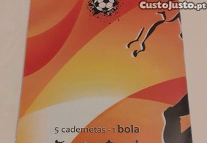 imagem_4