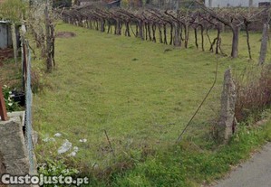 imagem_6