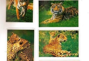 Coleção completa de 12 calendários sobre animais 1993