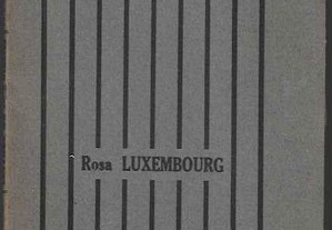 Rosa Luxembourg. Lettres de la Prison.