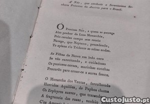 imagem_3
