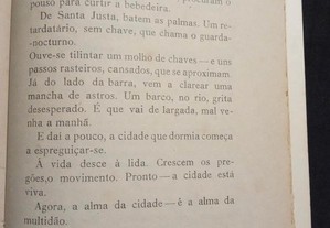 imagem_7