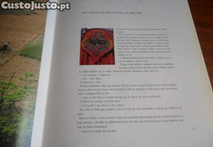 imagem_4