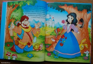 imagem_3