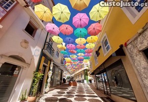 imagem_7