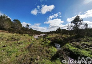 Terreno Agrícola em São Miguel do Pinheiro, São Pedro de Solis e São Sebastião dos Carros