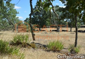Terreno Rstico Guarda