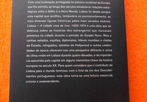 imagem_8