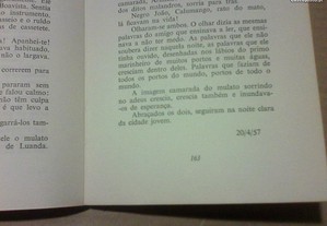 imagem_8