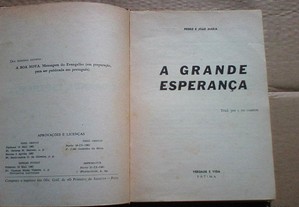 imagem_4