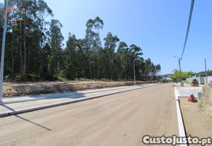imagem_11