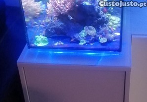 Aqurio 52L com sump traseiro + mvel