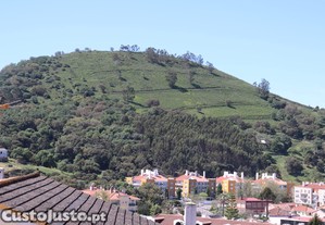 imagem_10