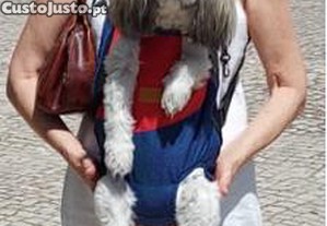 imagem_4