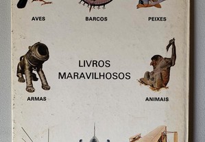 imagem_3