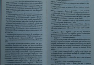 imagem_2