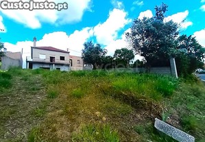 imagem_14