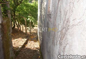 imagem_15