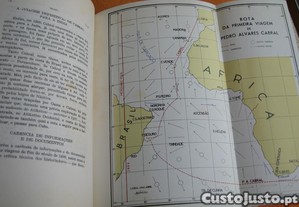 imagem_7