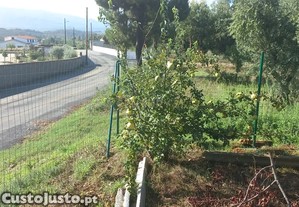 Encantadora Propriedade com construo e vista para Montanha