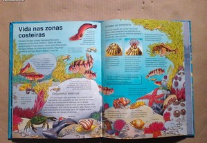 imagem_7