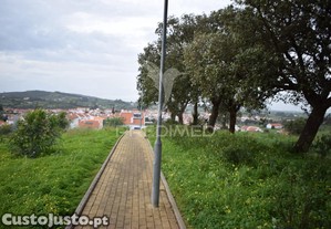 imagem_11