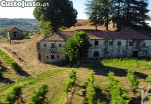 imagem_21