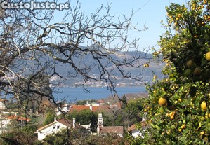 imagem_28