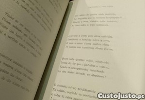 imagem_10