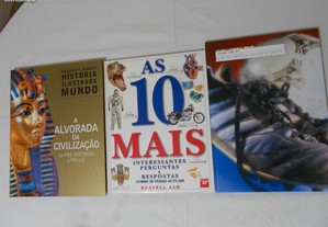 imagem_2