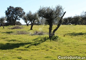 imagem_23