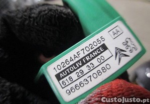 imagem_12
