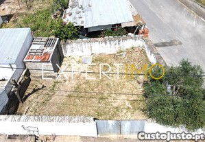 imagem_6