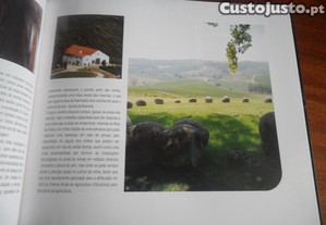 imagem_7