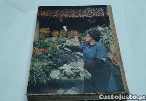 imagem_3