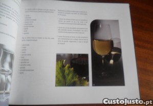 imagem_6