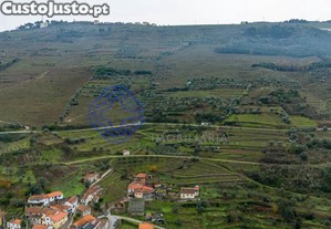 imagem_14