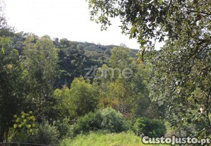 Terreno Rústico Com 5.400 M² - Pontalinhos,...