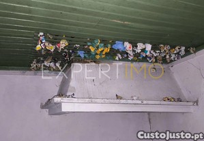 imagem_8