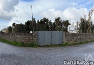 Terreno em Monte Real e Carvide